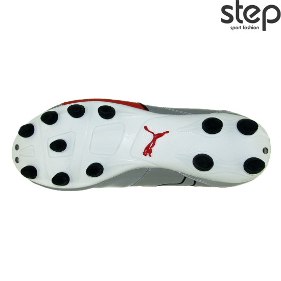 Puma vencida ΙΙ FG